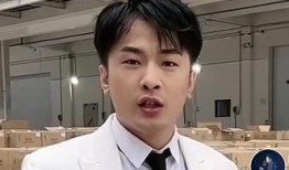 辛巴与王海最新爆料,揭秘行业黑幕，真相令人震惊！