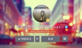 湖南卫视爆料新闻,揭秘娱乐圈惊天大事件！